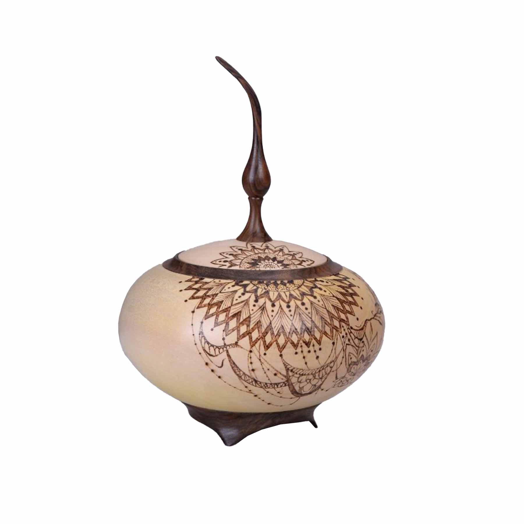 Woodturning- Shokooh Contemporary Wood Sculpture