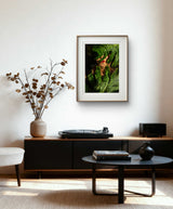 AQVA Jungle Digital Photography Artworks By Carla Sutera Sardo in Dubai