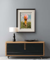 Balloons Digital Photography Artworks By Carla Sutera Sardo in Dubai