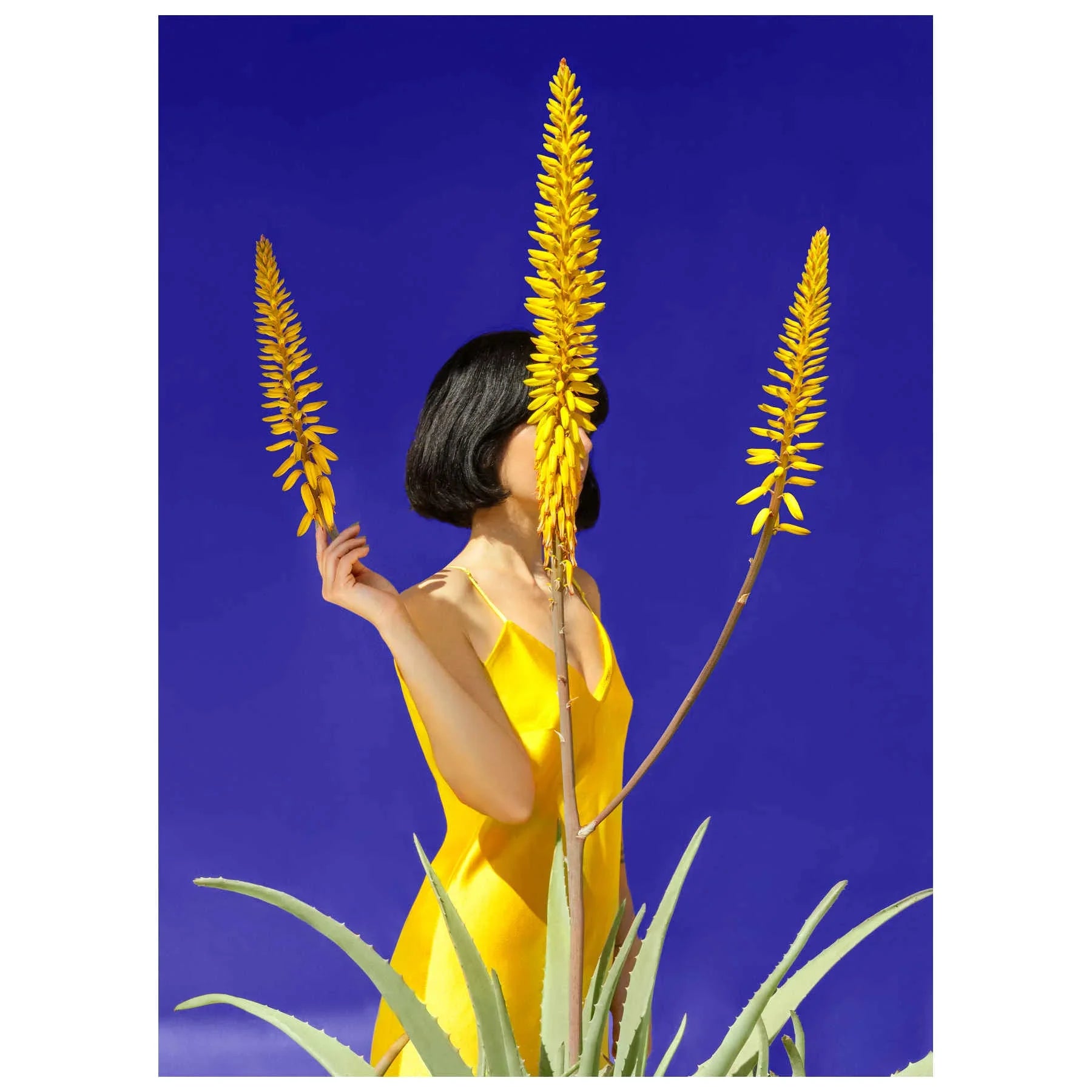Fine Art Photography Artworks By Tatiana Cardellicchio in Dubai