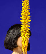 Fine Art Photography Artworks By Tatiana Cardellicchio in Dubai