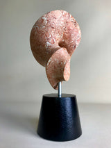 Flourish Mixed Media Sculpture, Contemporary Clay Statues By Gabriel Rivera
