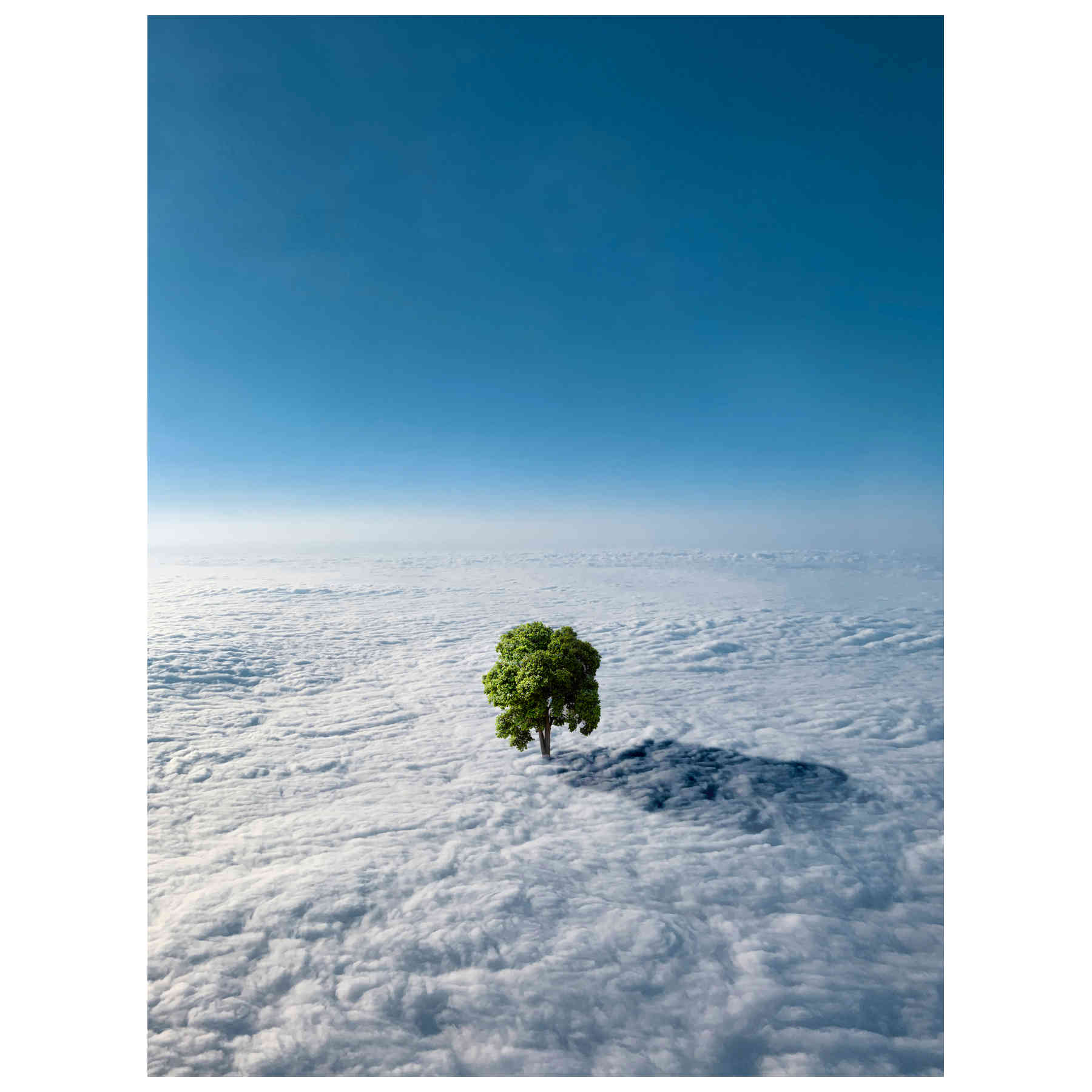 Gravitation Digital Photography Print & Artworks By Tom Fabia in Dubai