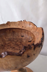 The Jewel Contemporary Wood Sculpture