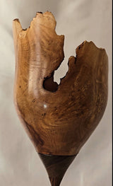 Woodturning - Resilient Grace Contemporary Wood Sculpture