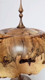 The Shelter Woodturning Contemporary Wood Sculpture