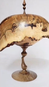 The Shelter Woodturning Contemporary Wood Sculpture
