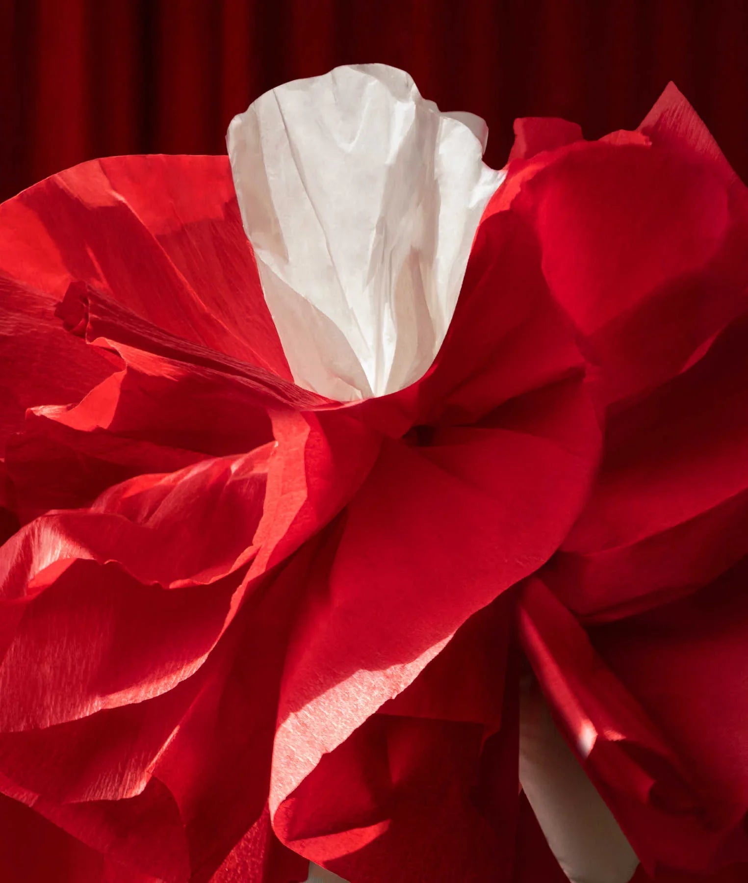 Red Eclipse Fine Art Photography Artworks By Tatiana Cardellicchio in Dubai