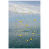 Fine Art Photography Artwork By Simon Bolton for Interior Design