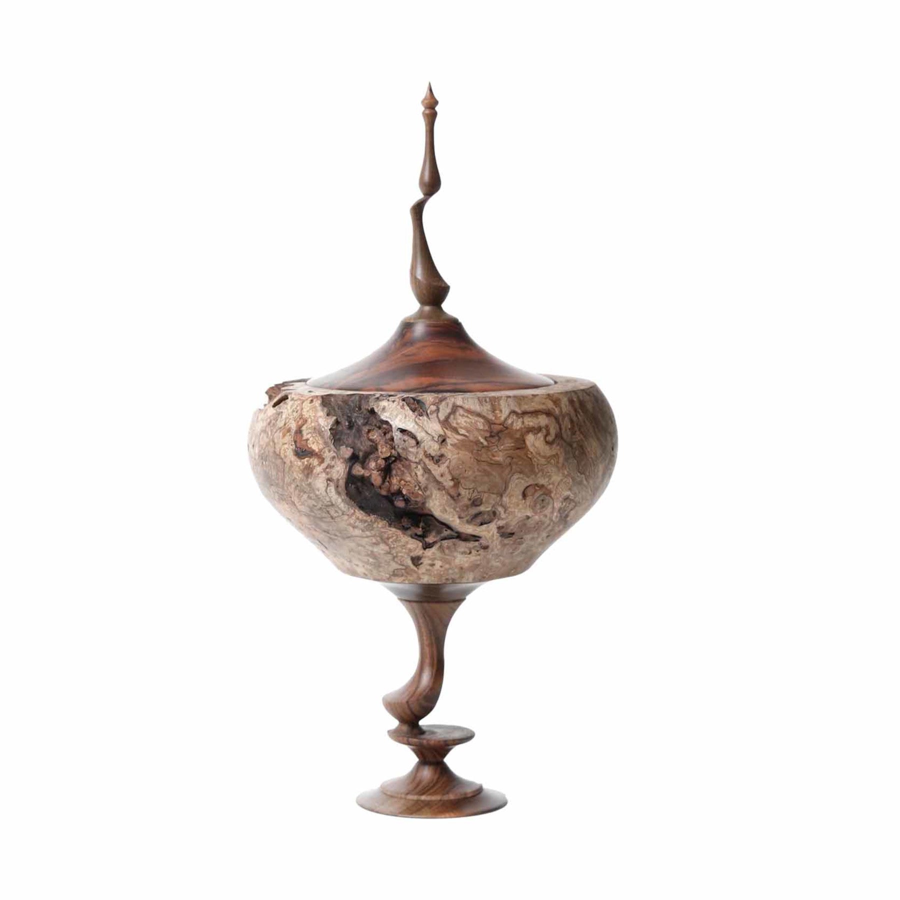 Woodturning - Skin of the Earth Contemporary Wood Sculpture