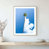 Palm Tree Digital Photography Print & Artworks By Tom Fabia in Dubai