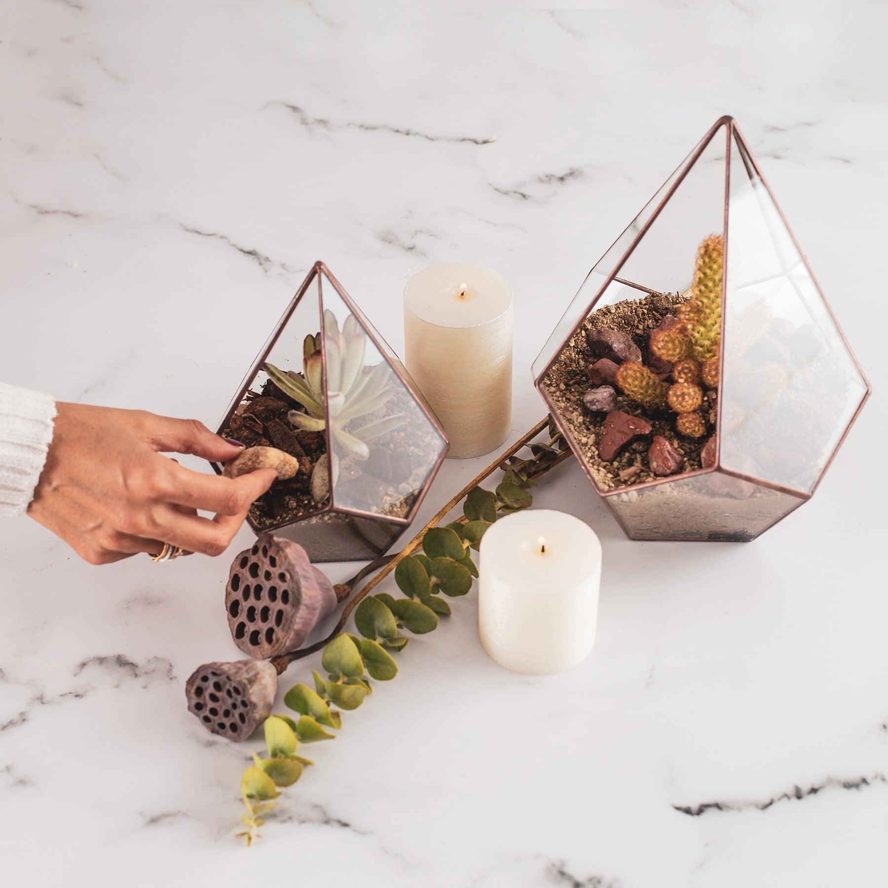 Diamond Terrarium, Geometric Glass Diamond Shaped Terrariums in Dubai