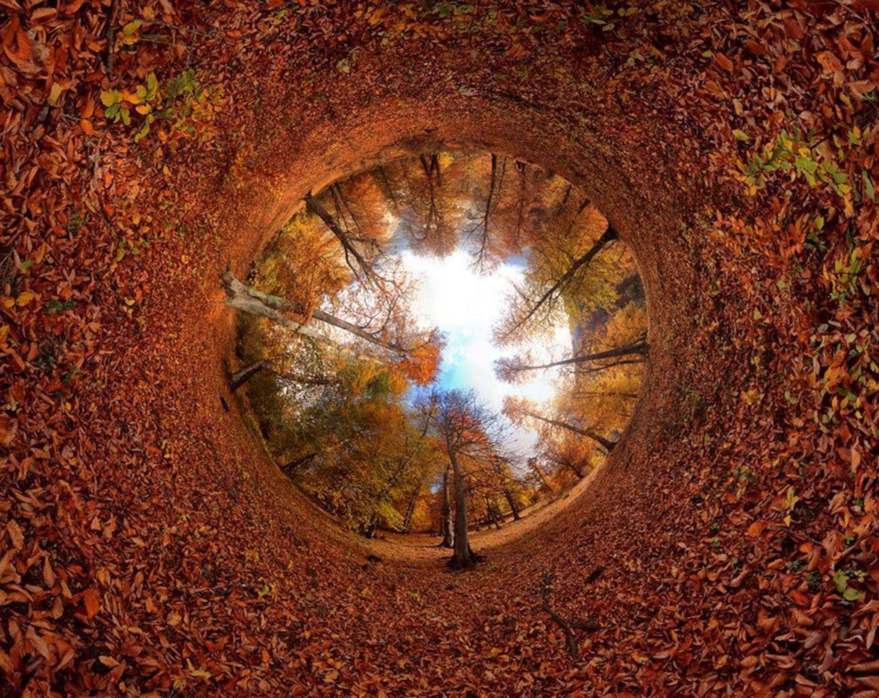 Fall 360 Photography artwork by Dara Sajedi in Dubai