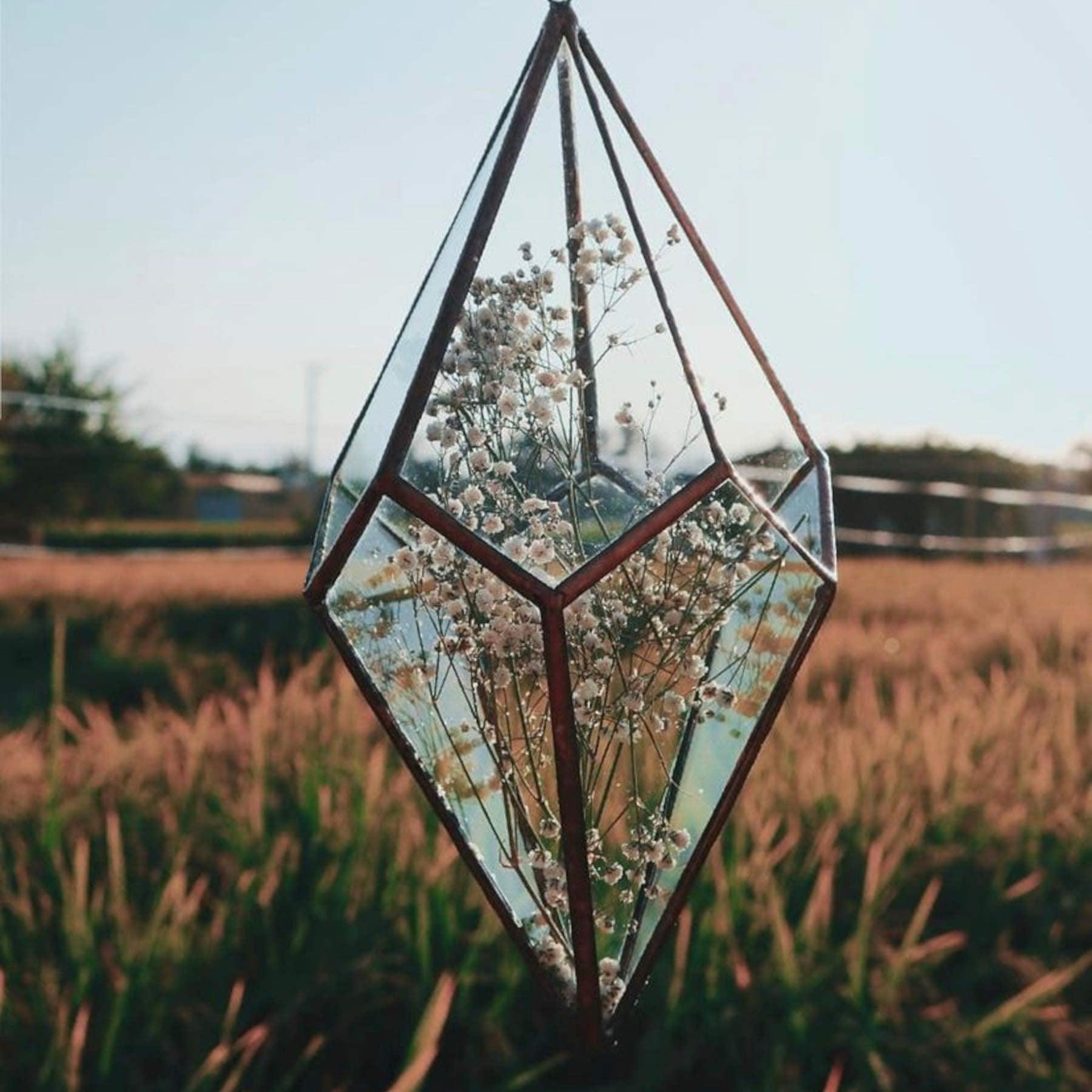 Hanging Terrarium - Geometric Glass Suspended Terrariums in Dubai