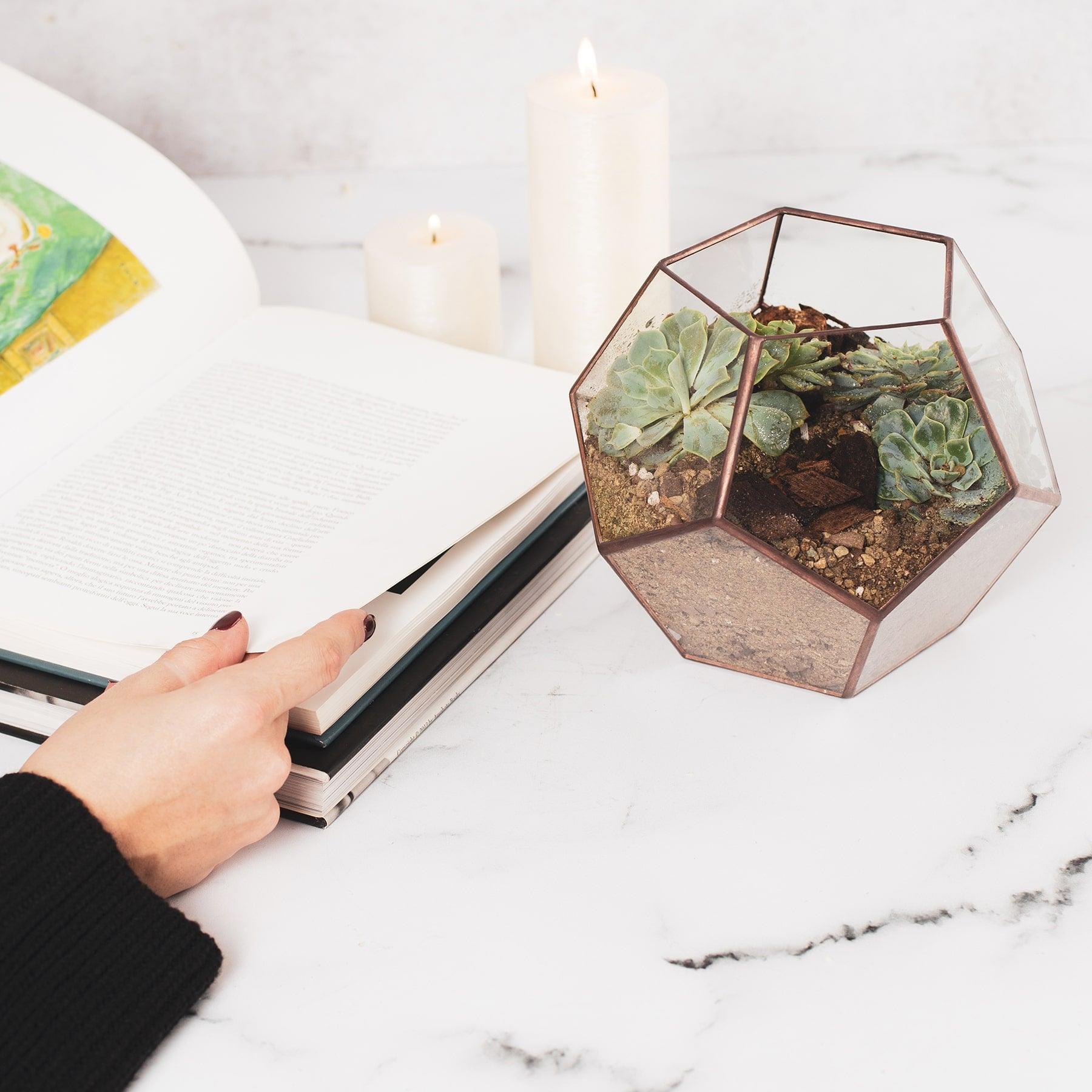Glass Terrarium - Octagon Geometric Glass & Copper Terrariums in Dubai