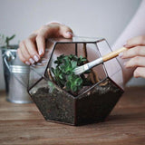Glass Terrarium - Octagon Geometric Glass & Copper Terrariums in Dubai