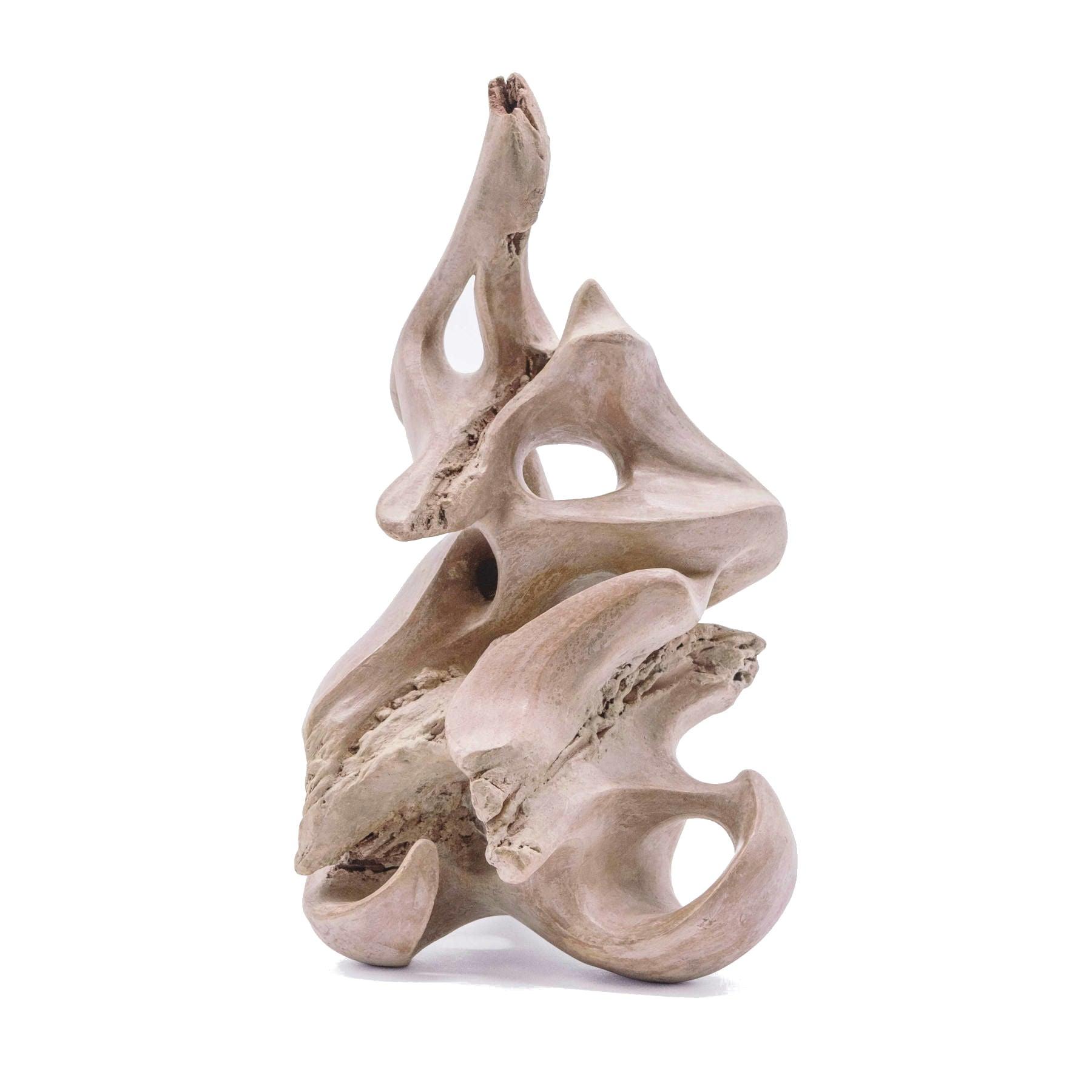 Rose Des Vents Clay Sculpture By Ariane Crovisier - Contemporary Ceramic Statues in Dubai