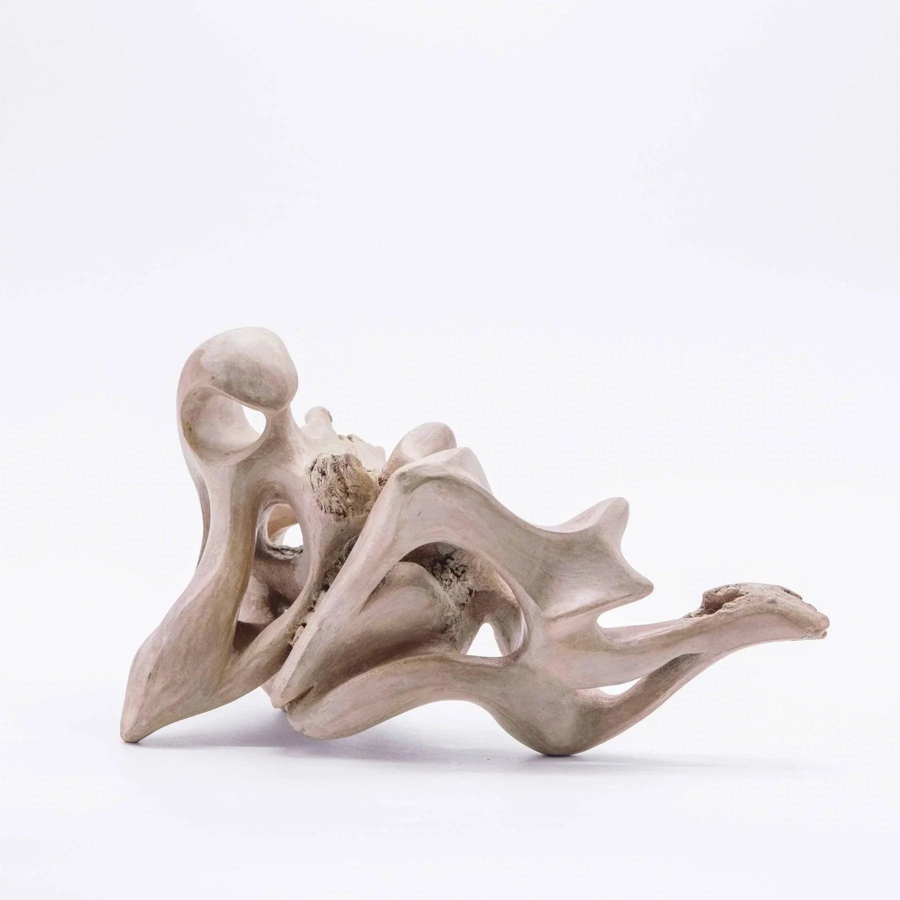 Rose Des Vents Clay Sculpture By Ariane Crovisier - Contemporary Ceramic Statues in Dubai