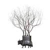 Tree of Life Bronze Sculpture - Contemporary Statues By Keivan Beiranvand in Dubai