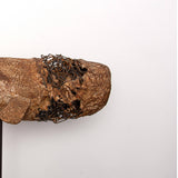 Whale Series Mixed Media Sculpture - Contemporary Sculptures by Roxana Fazeli in Dubai