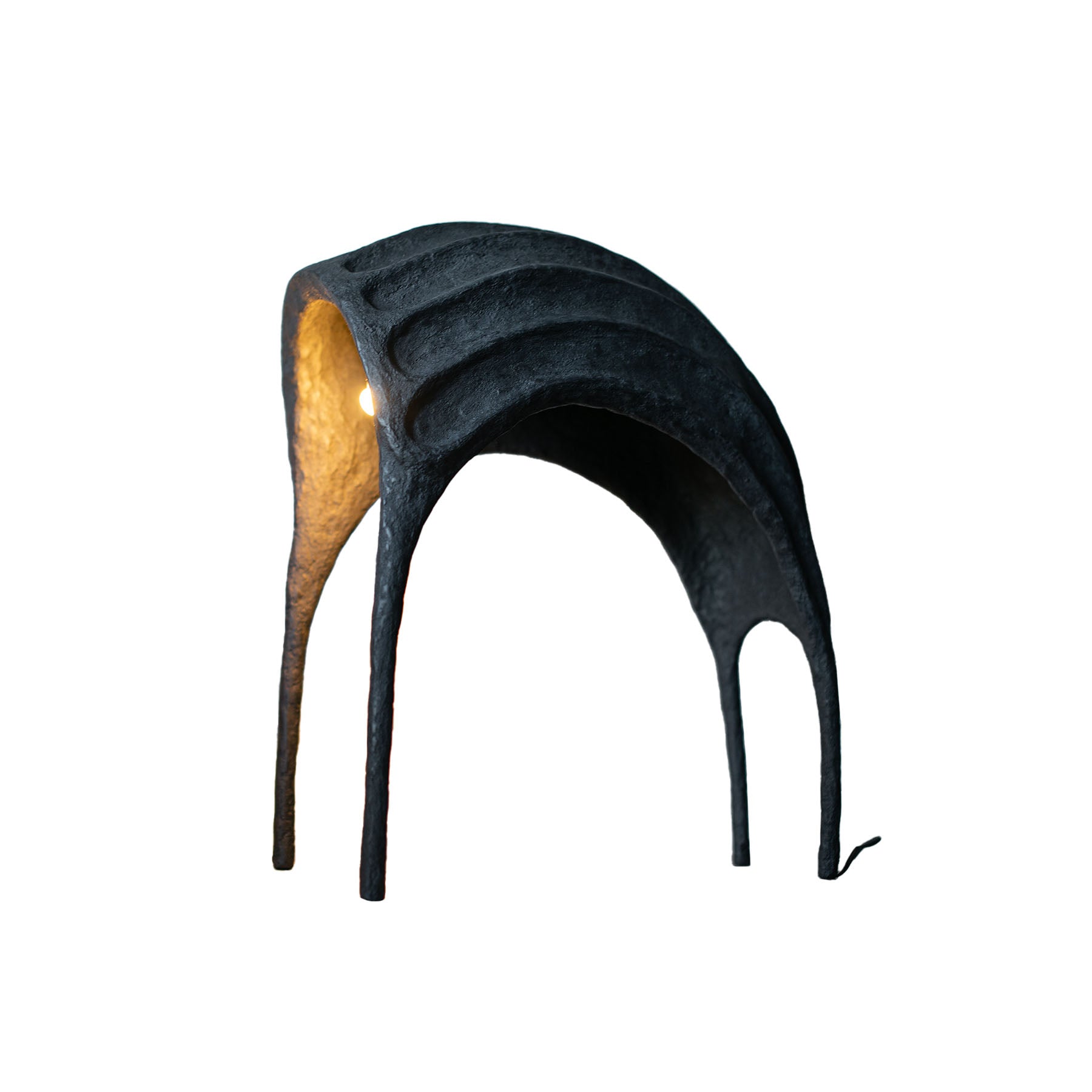 Black Curved Contemporary Floor Lamp,  Organic Bionic Design By Pavel Vishnevsky