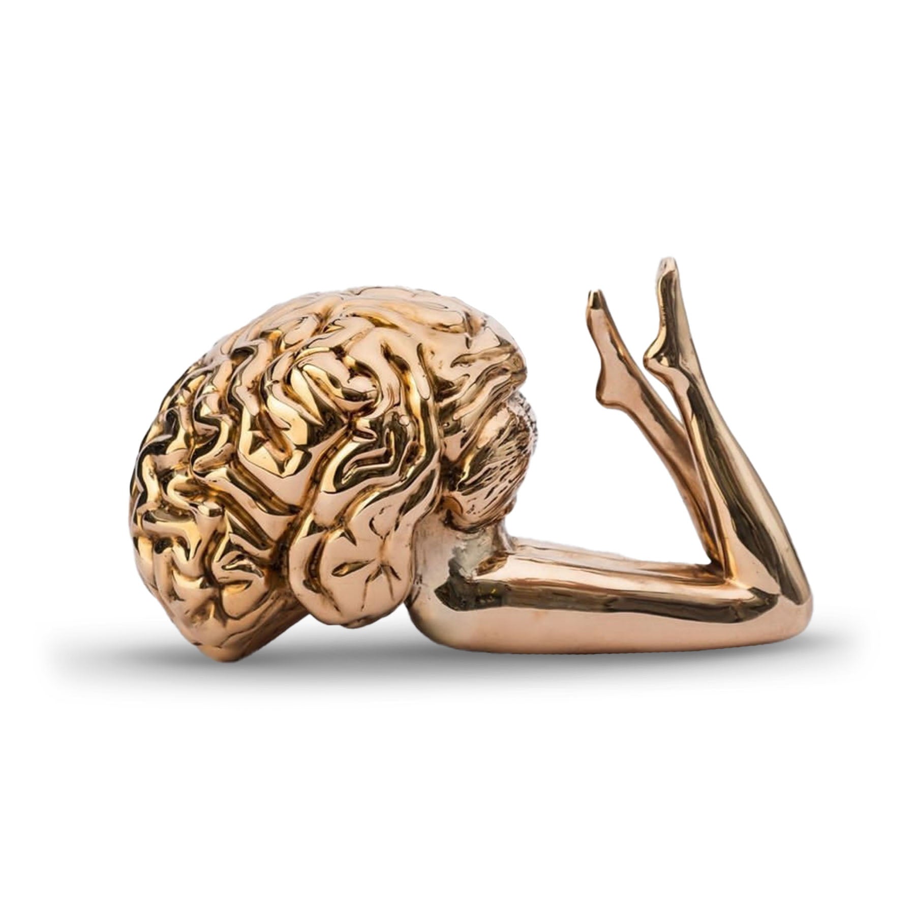 Brain Bronze Sculpture – Brain, Legs, Heart Anatomy Art Pieces in Dubai