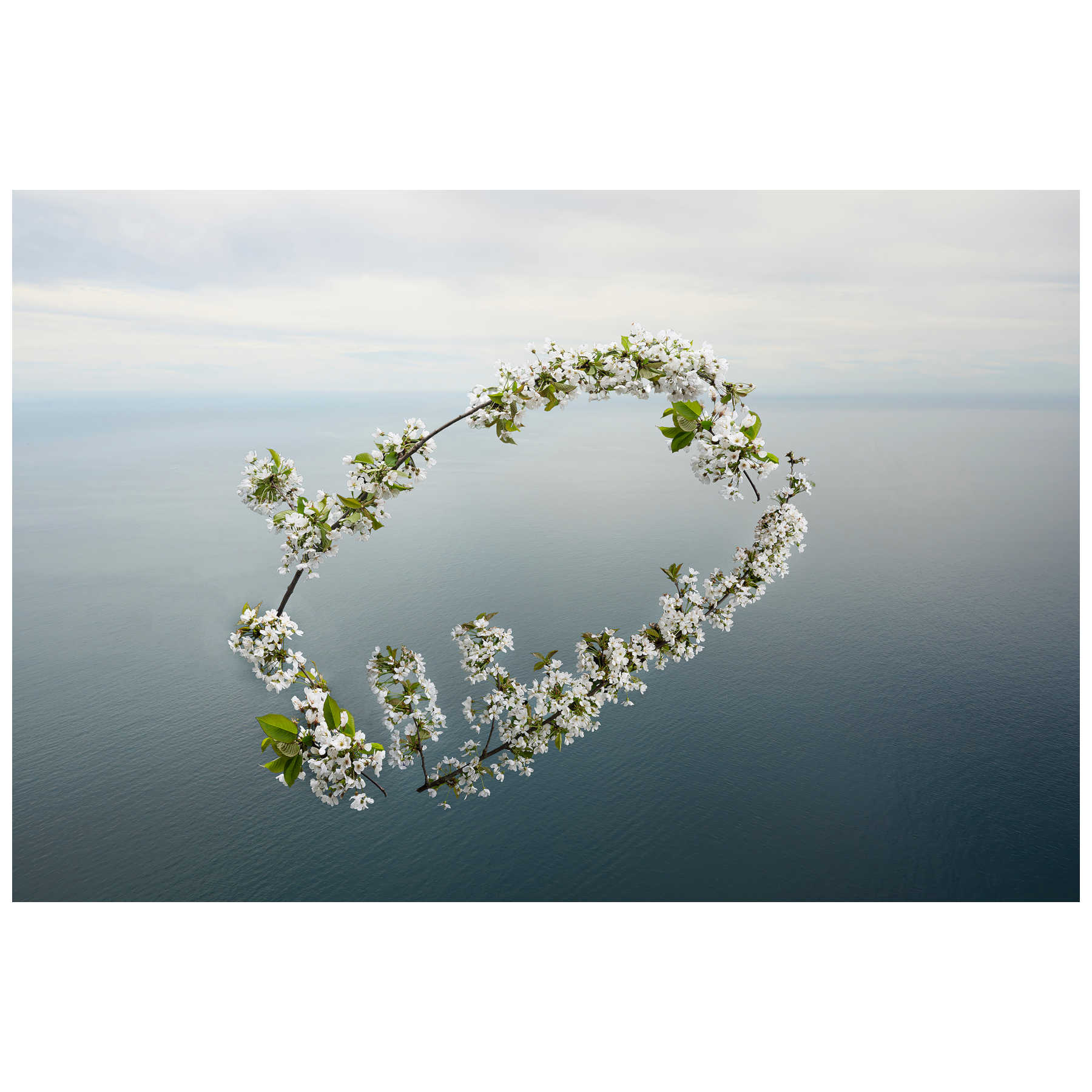 Fine Art Landscape Photography Artwork for Interior Design