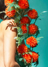 Fine Art Photography Artworks By Tatiana Cardellicchio in Dubai