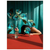 Fine Art Photography Artworks By Tatiana Cardellicchio in Dubai