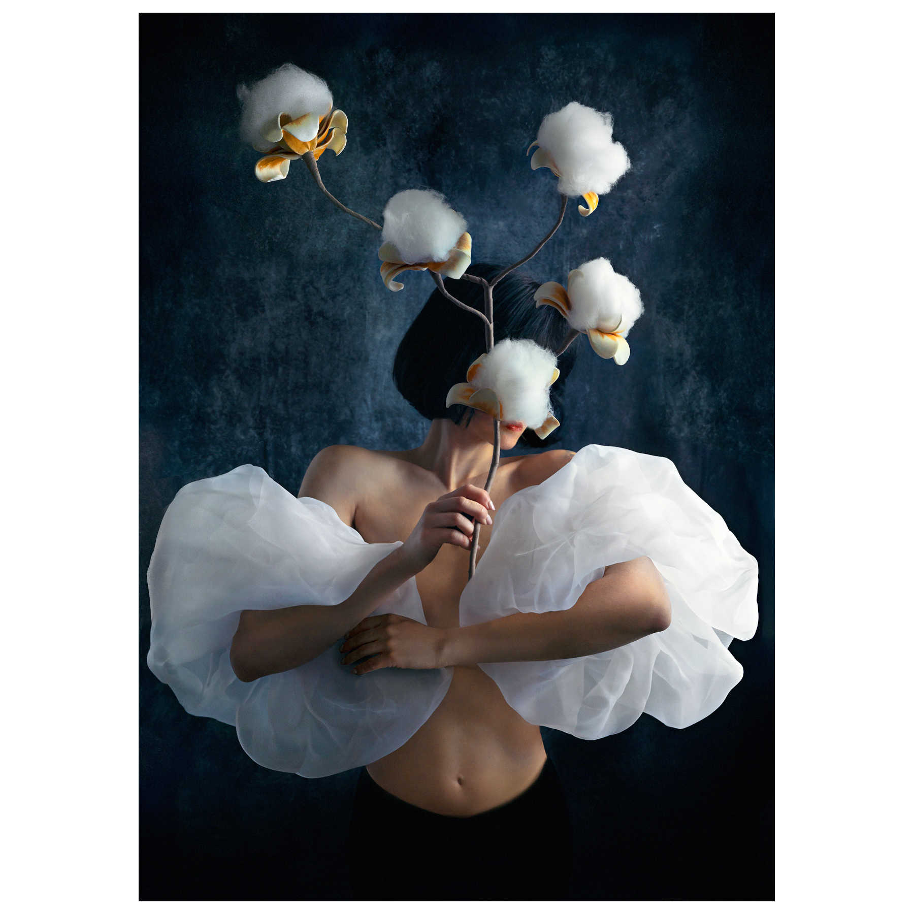 Fine Art Photography Artworks By Tatiana Cardellicchio in Dubai