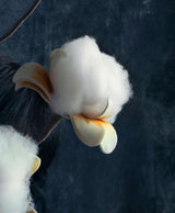 Fine Art Photography Artworks By Tatiana Cardellicchio in Dubai