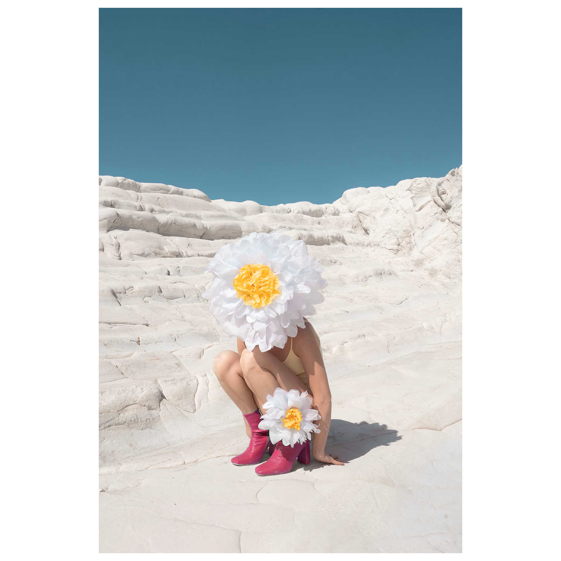 Daisy Girl Digital Photography Artworks By Carla Sutera Sardo in Dubai