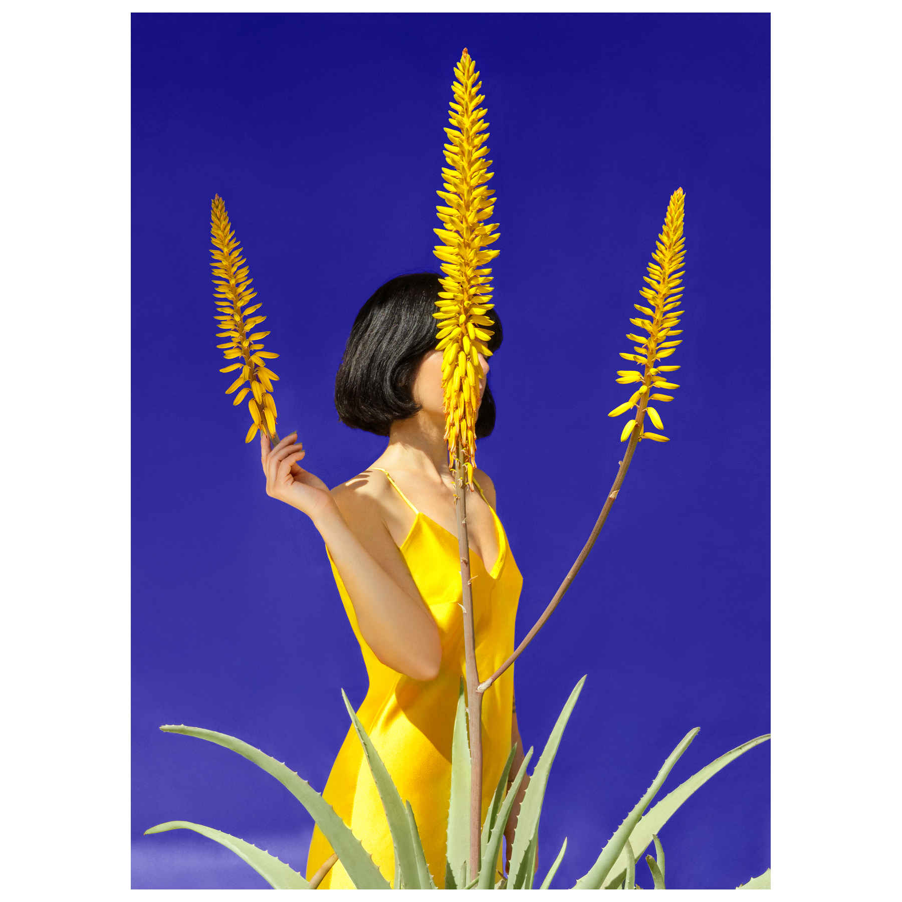 Fine Art Photography Artworks By Tatiana Cardellicchio in Dubai