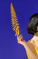 Fine Art Photography Artworks By Tatiana Cardellicchio in Dubai