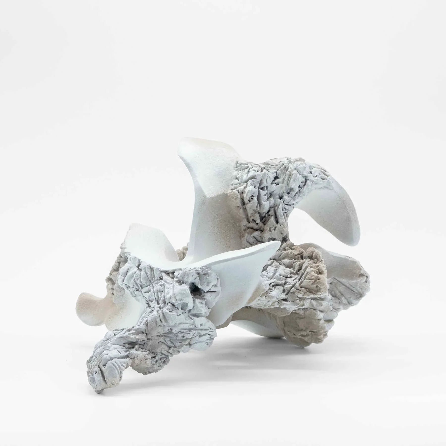 White Ceramic Sculpture Art By Ariane Crovisier