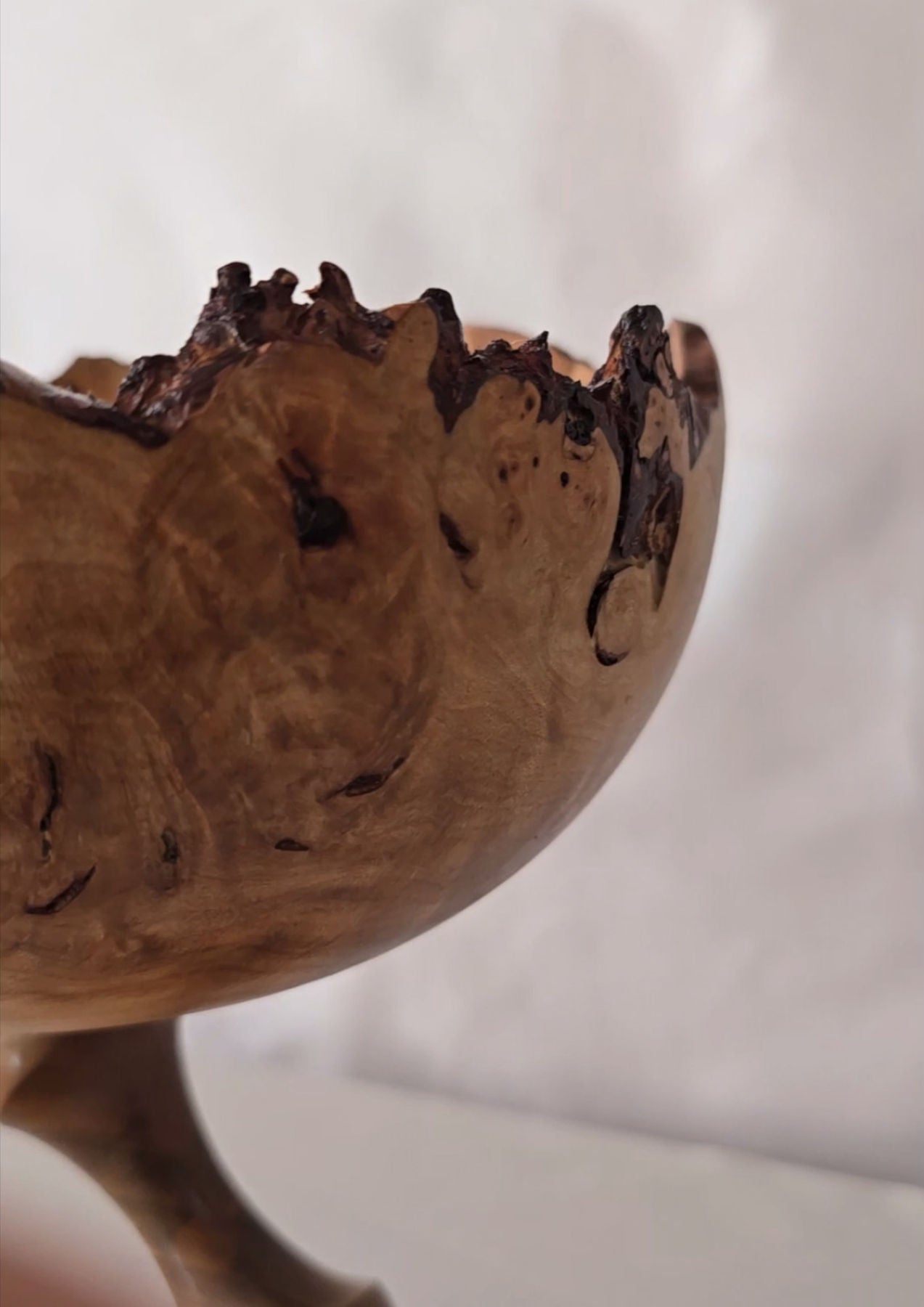 The Jewel Contemporary Wood Sculpture