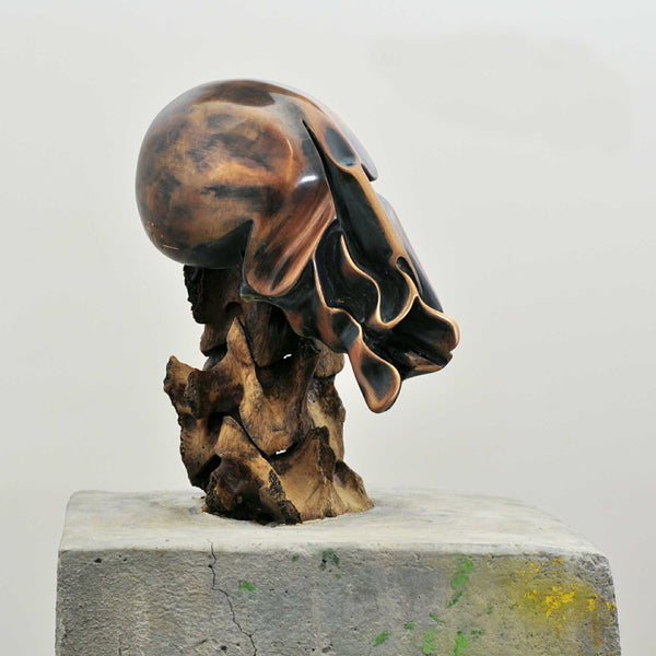 Mixed Media Sculpture, Contemporary Bronze Sculptures By Seena Nayeri in Dubai