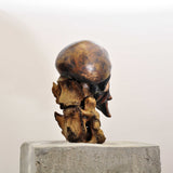 Mixed Media Sculpture, Contemporary Bronze Sculptures By Seena Nayeri in Dubai