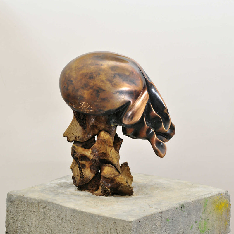 Mixed Media Sculpture, Contemporary Bronze Sculptures By Seena Nayeri in Dubai