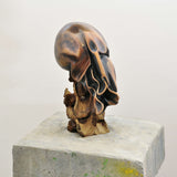 Mixed Media Sculpture, Contemporary Bronze Sculptures By Seena Nayeri in Dubai