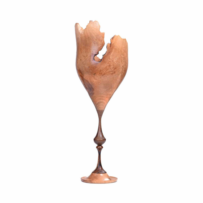 Woodturning - Resilient Grace Contemporary Wood Sculpture