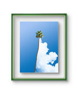 Palm Tree Digital Photography Print & Artworks By Tom Fabia in Dubai
