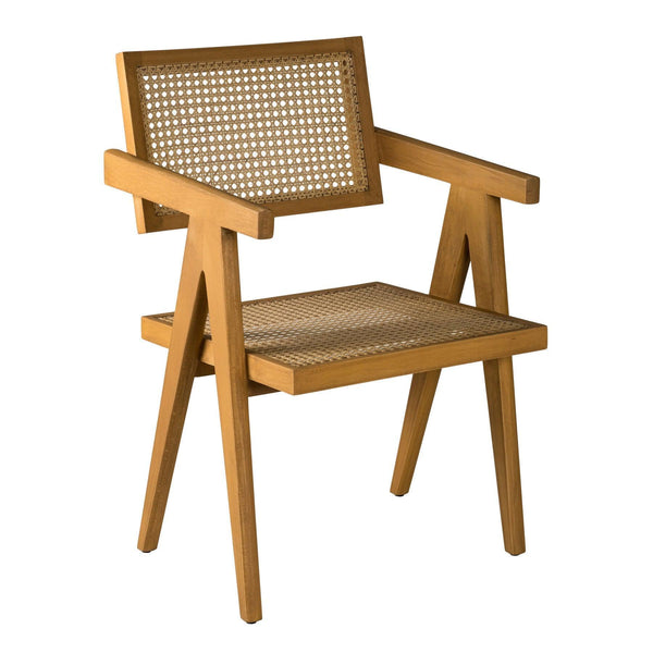 Amalfi Cane Chair Alder Brown - Pierre Jeanneret designer Office & Dining Chairs in Dubai