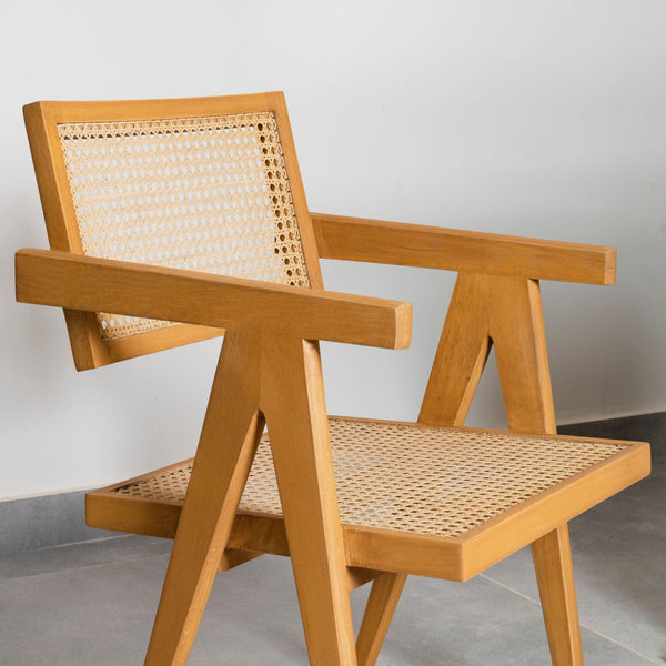 Amalfi Cane Chair Alder Brown - Pierre Jeanneret designer Office & Dining Chairs in Dubai