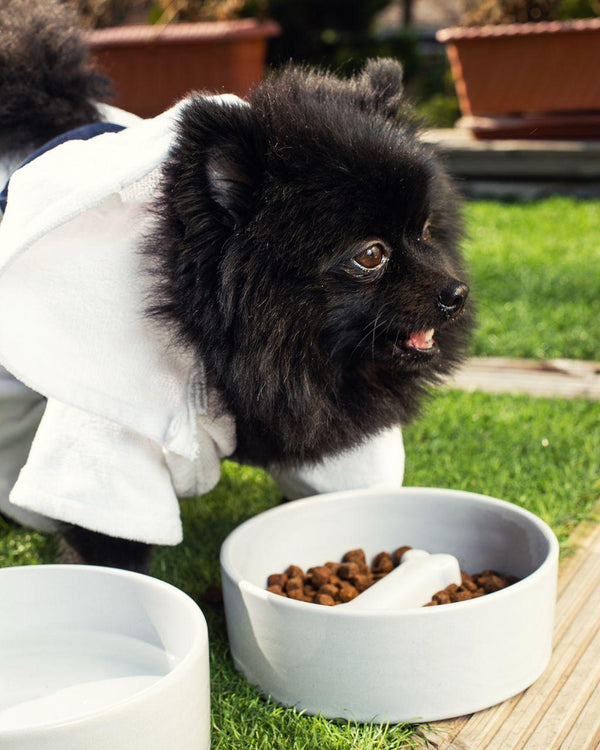 Bone Pet Slow Feeder Bowl in White - Choke Preventing Ceramic Bowls for Cats & Dogs in Dubai