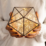 Glass Terrarium, Light Up Geometric Glass & Copper Terrariums in Dubai