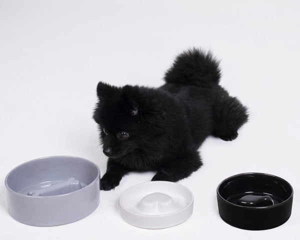 Fish Pet Slow Feeder Bowl in Black - Choke Preventing Ceramic Bowls for Cats & Dogs in Dubai