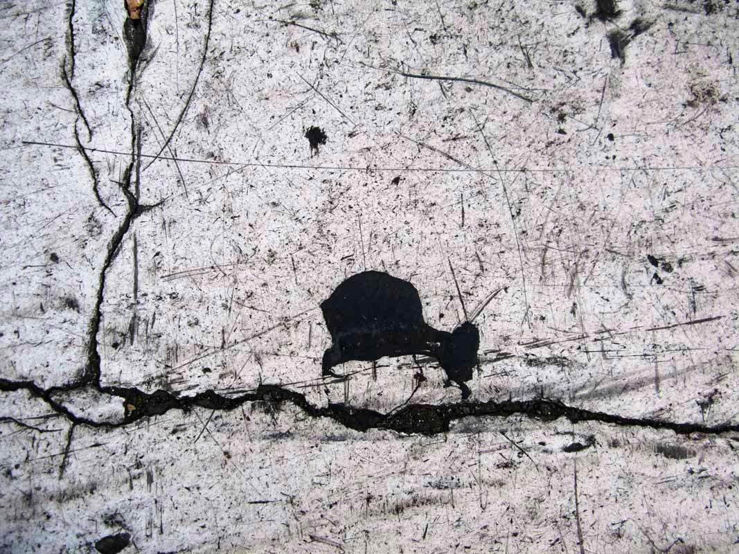 Photography Artwork - Micro Street Series Photo Print On Canvas by Roxana Fazeli in Dubai