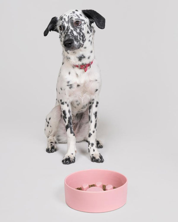 Paw Ceramic Slow Feeder Bowl in Baby Pink - Choke Preventing Bowls for Cats & Dogs in Dubai