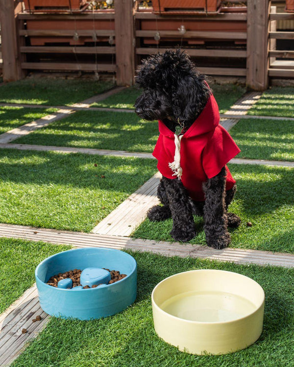 Paw Ceramic Slow Feeder Bowl in Blue Grey - Choke Preventing Bowls for Cats & Dogs in Dubai